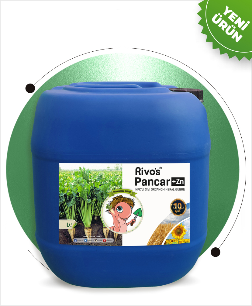 RİVO'S PANCAR +ZN